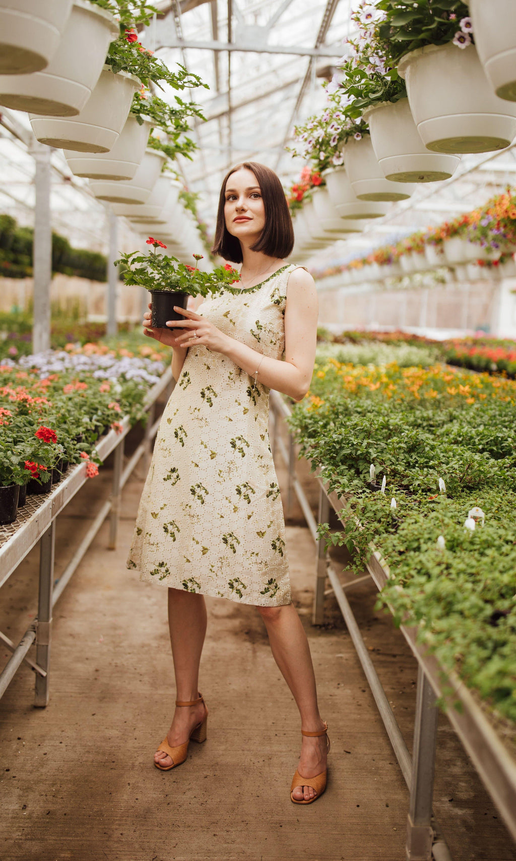 Ardani Silk Midi Dress with Eyelet Embroidery