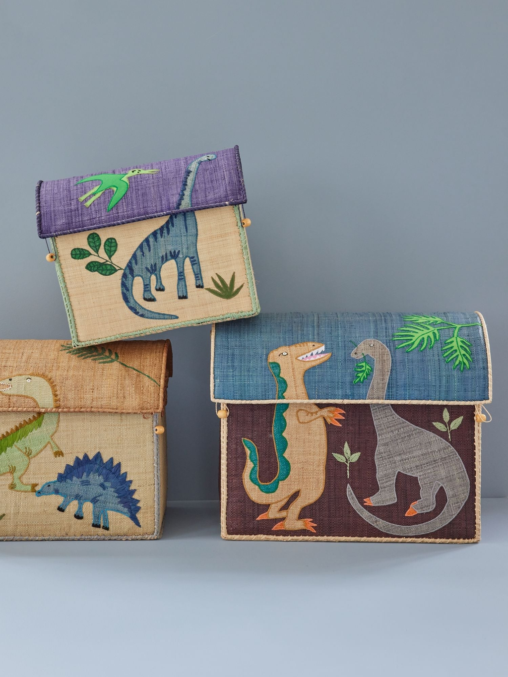 Raffia Storage Baskets with Dinosaur Theme - Set of 3 -