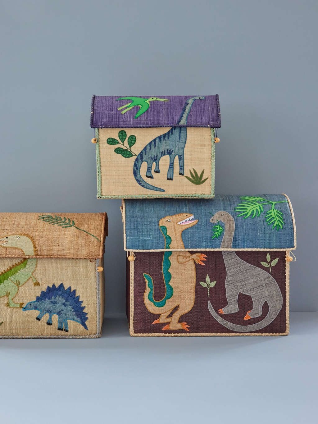 Raffia Storage Baskets with Dinosaur Theme - Set of 3 -