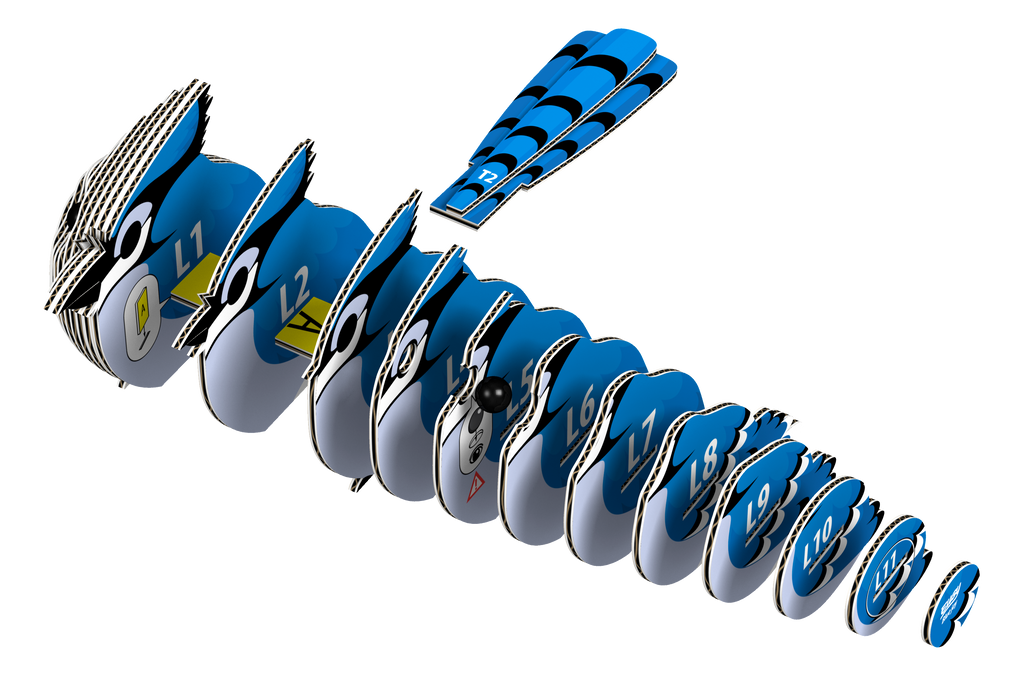 Blue Jay 3D Puzzle for Kids | STEM Craft & Building Activity