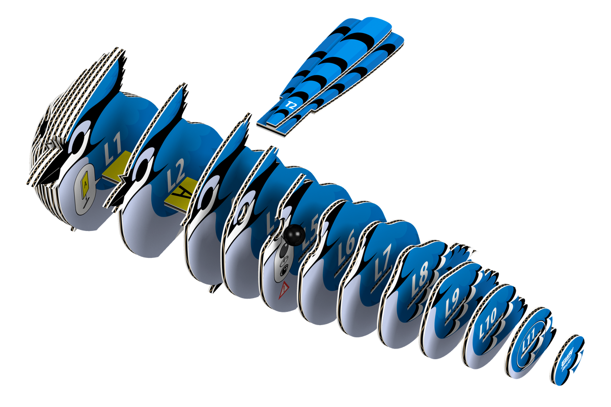 Blue Jay 3D Puzzle for Kids | STEM Craft & Building Activity