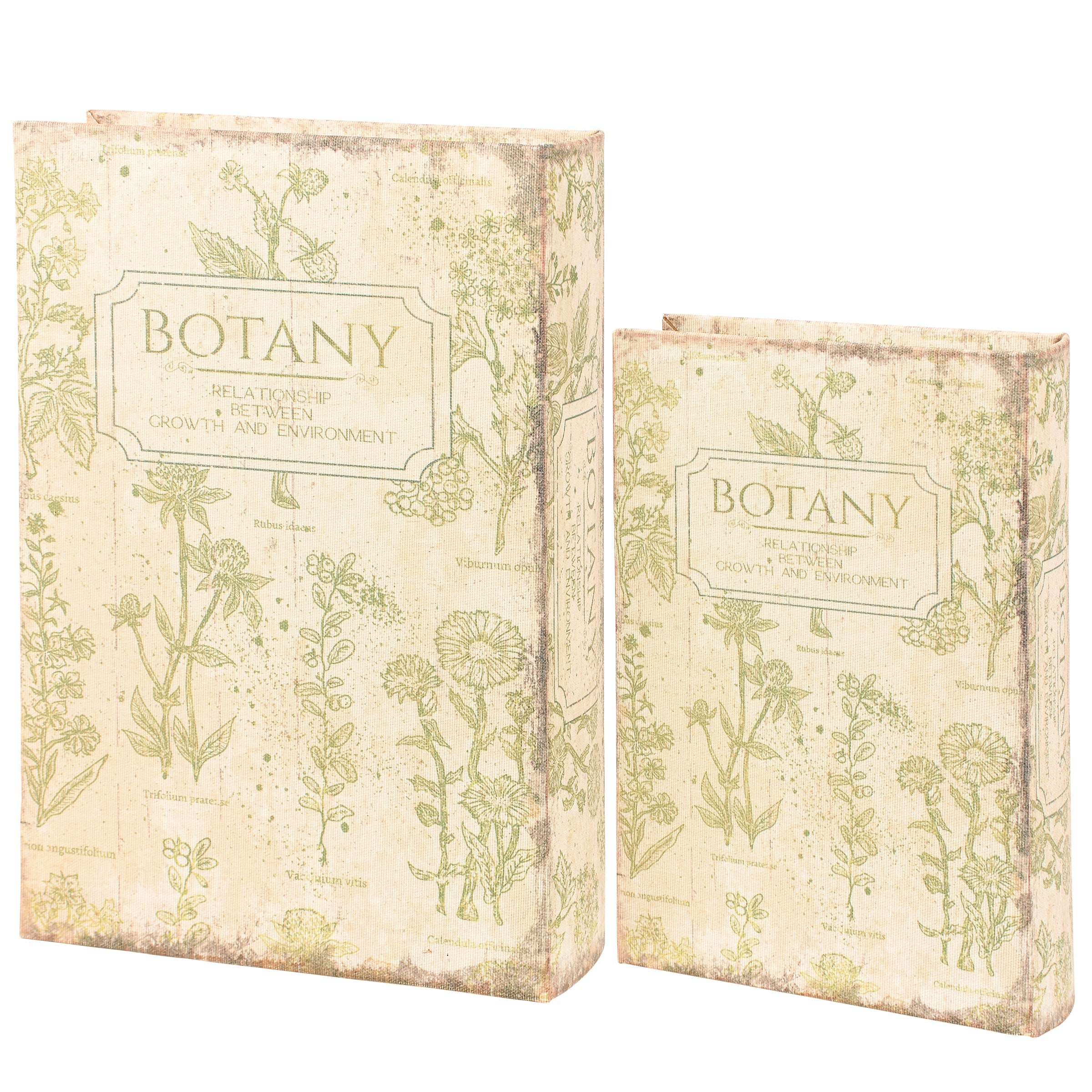 Botany Book Box Set of 2 | Vintage Book Shaped Storage Stash Trinket Boxes