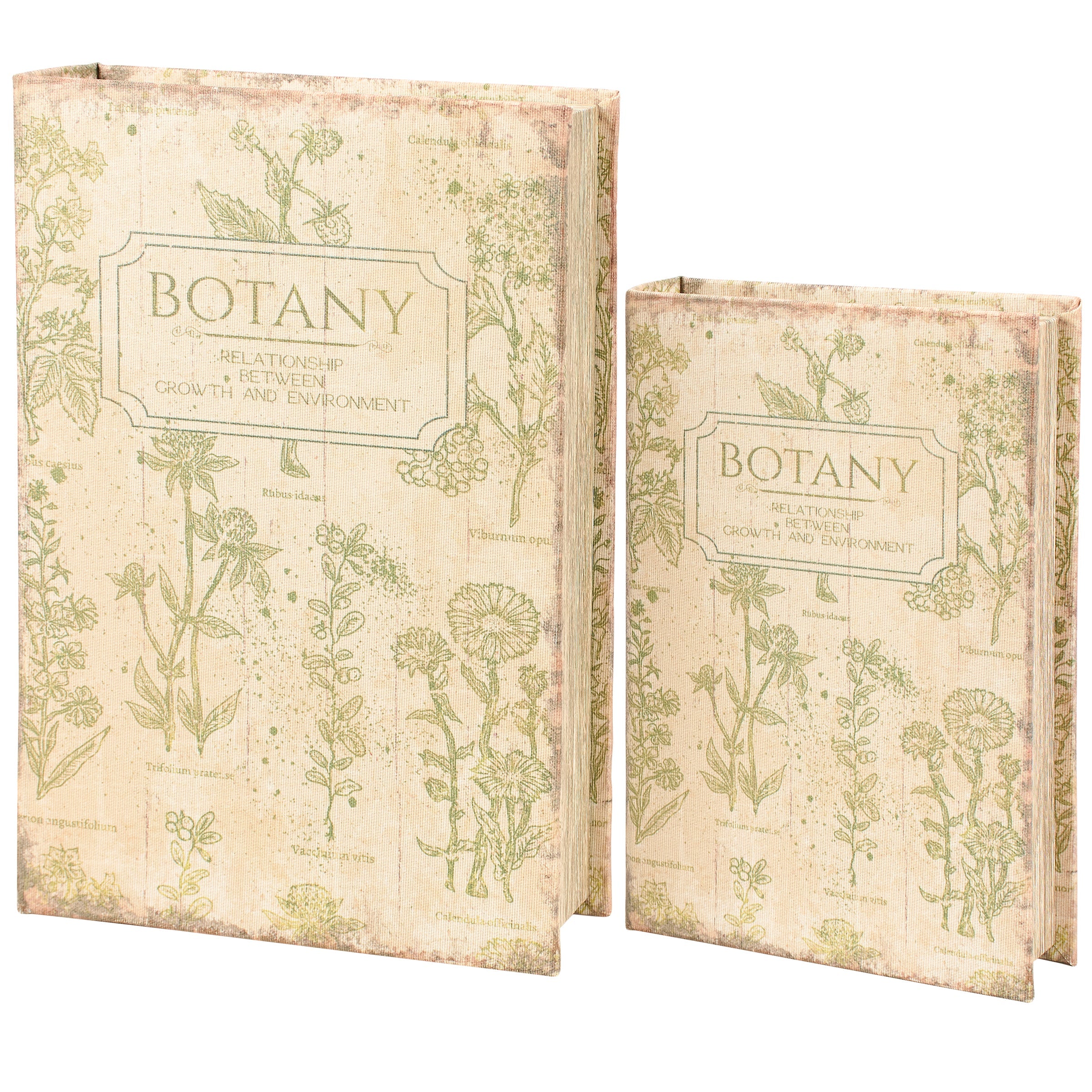 Botany Book Box Set of 2 | Vintage Book Shaped Storage Stash Trinket Boxes