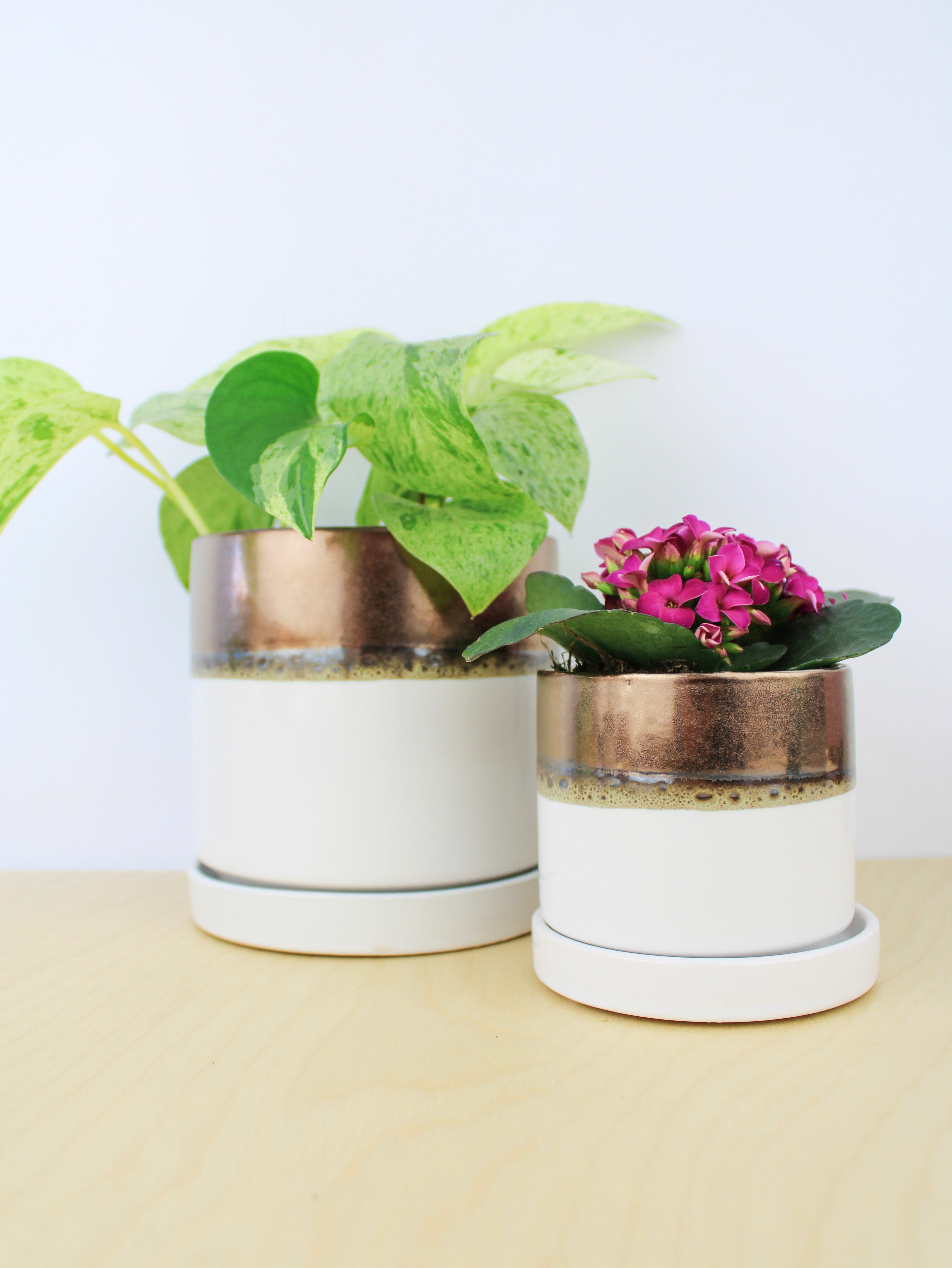 Bronze White Ceramic Plant Pot and Saucer