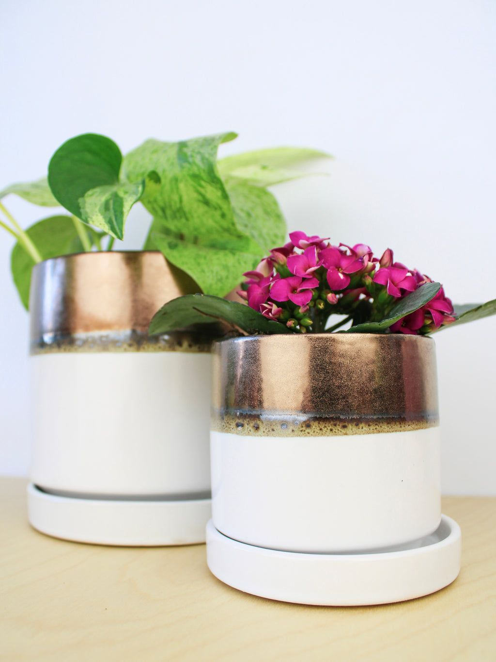 Bronze White Ceramic Plant Pot and Saucer