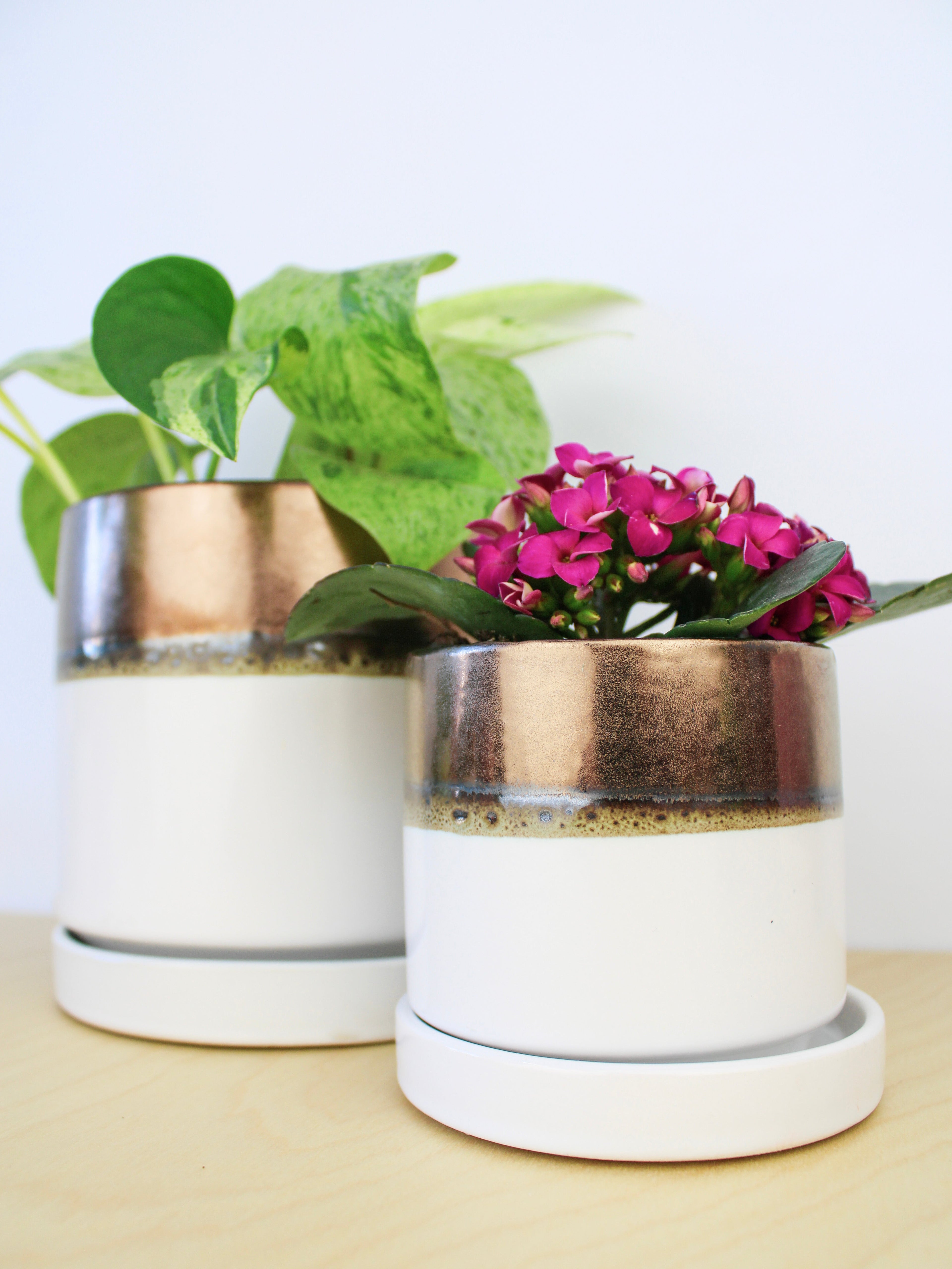 Bronze White Ceramic Plant Pot and Saucer