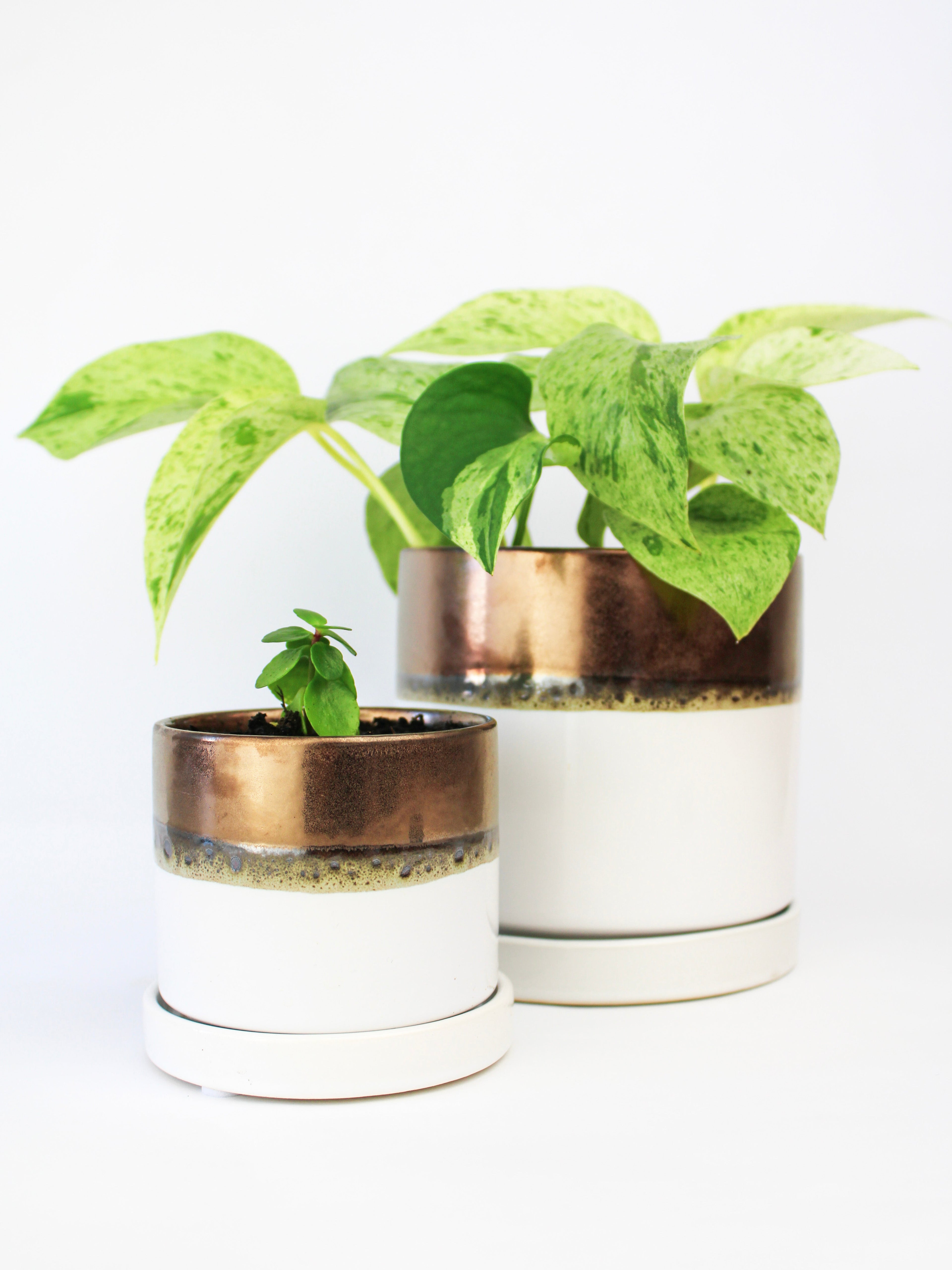 Bronze White Ceramic Plant Pot and Saucer
