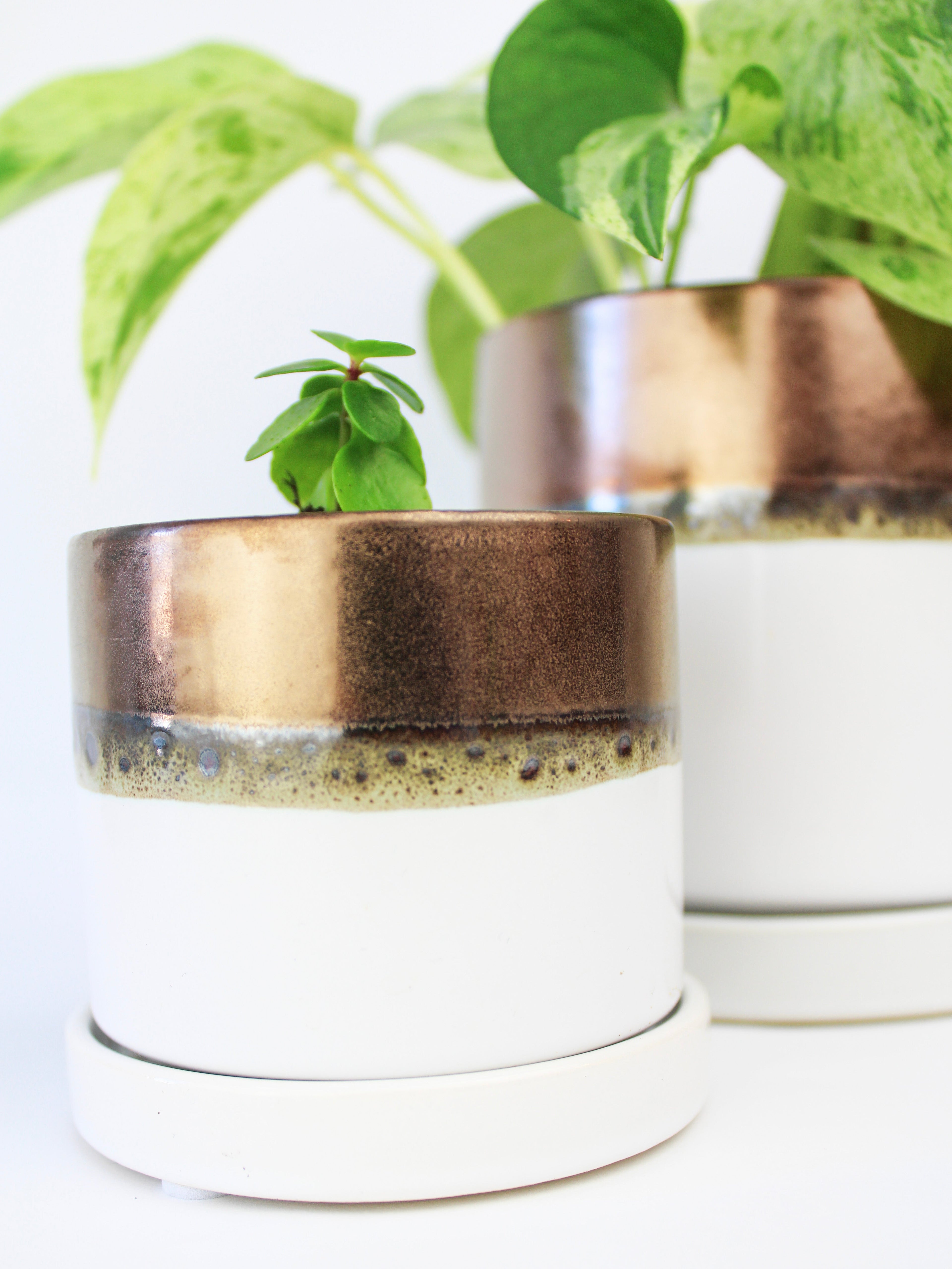 Bronze White Ceramic Plant Pot and Saucer