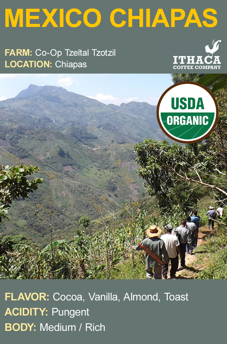 Mexico Chiapas Tzeltal Tzotzil Organic