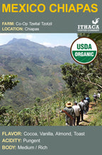Mexico Chiapas Tzeltal Tzotzil Organic