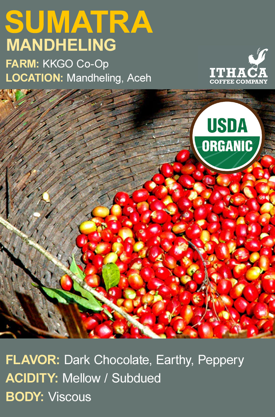 Sumatra Aceh Ketiara Coop Organic