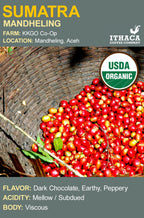 Sumatra Aceh Ketiara Coop Organic