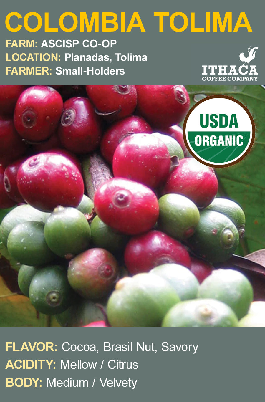 Colombia Tolima AGPROCEM Co-op Organic