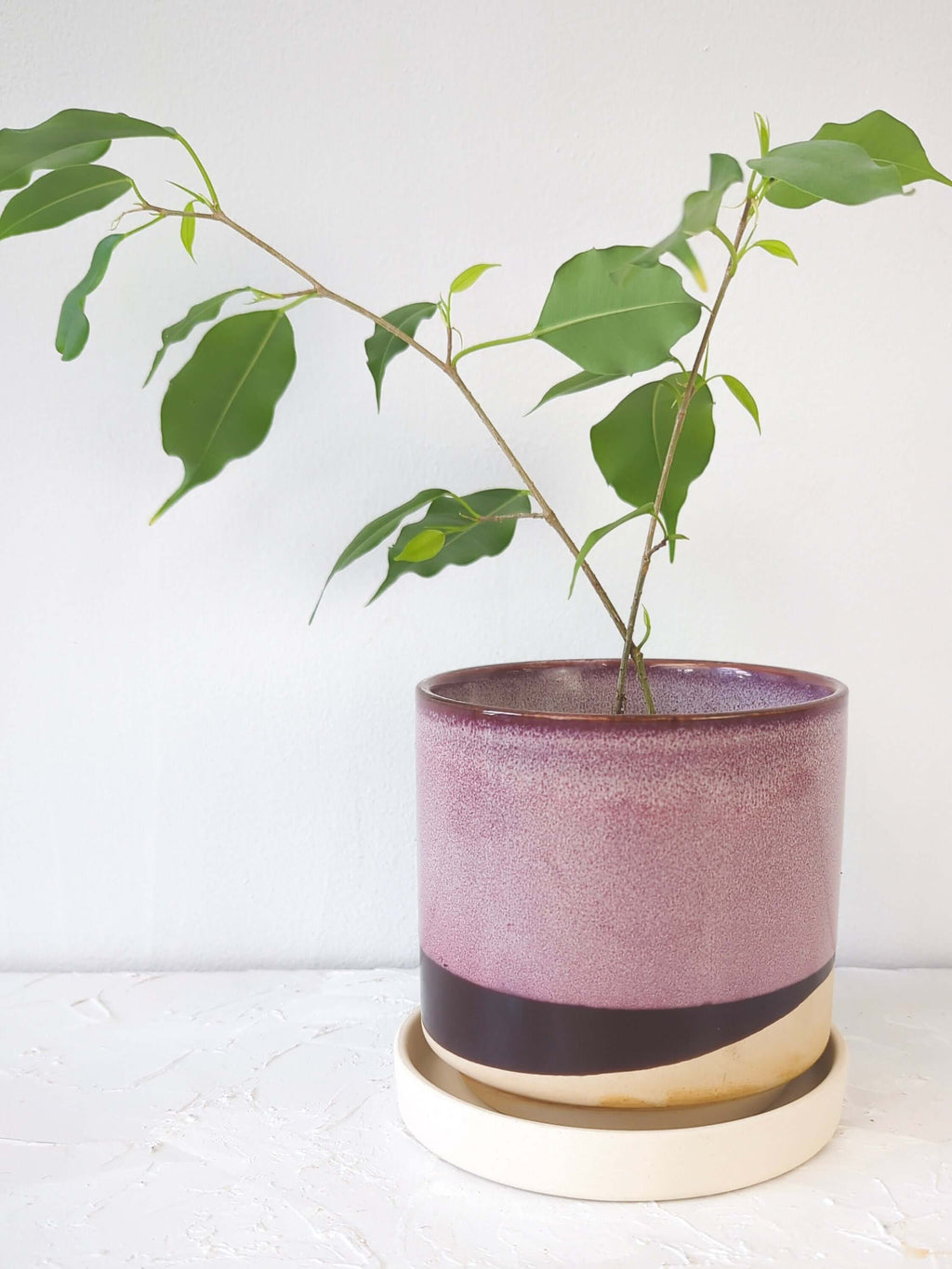 A handmade ceramic plant pot with matching saucer featuring pink and cream glazed finishes with dark accent bands, displayed against a white background