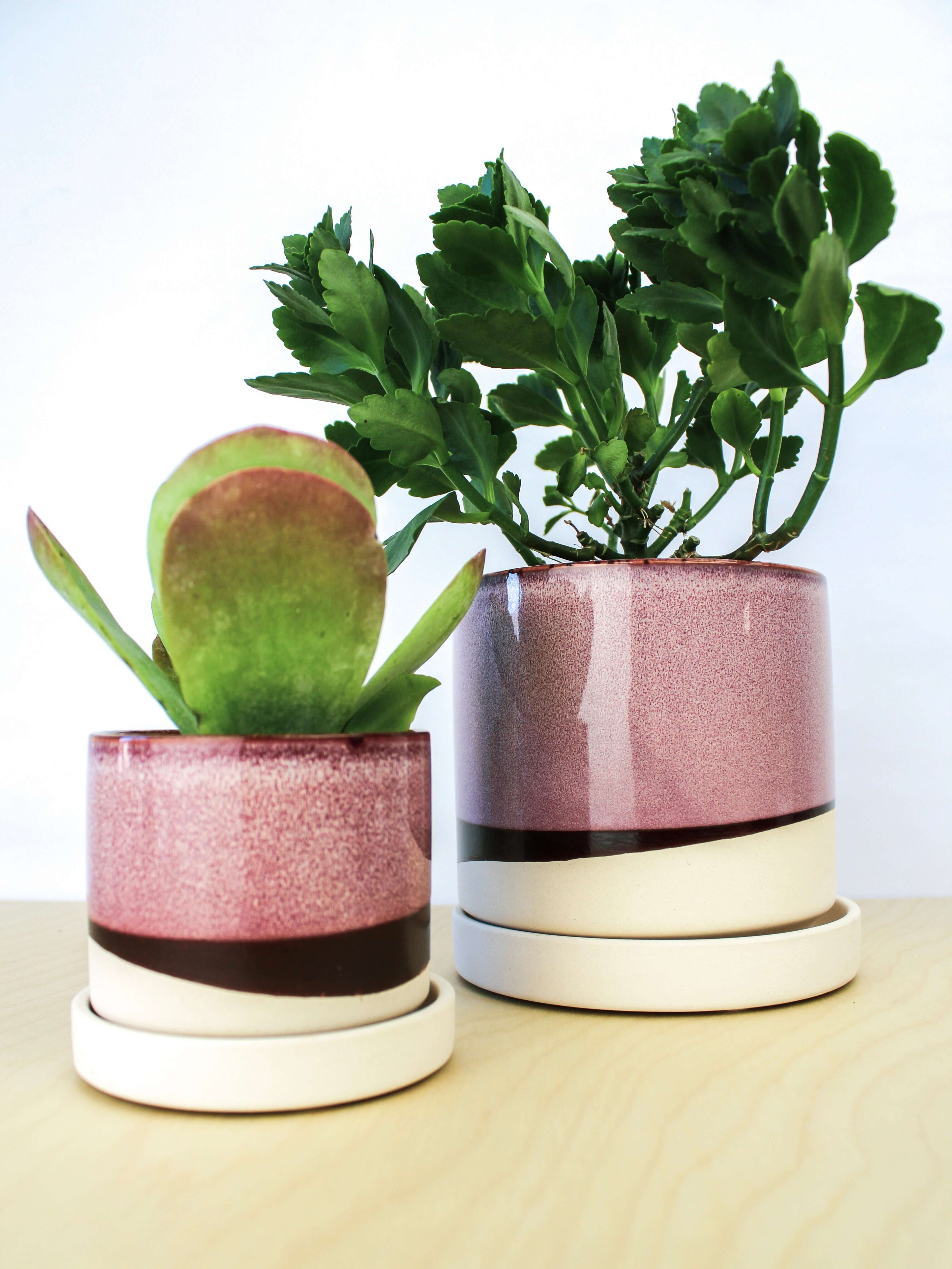 Two handmade ceramic plant pots with matching saucers featuring pink and cream glazed finishes with dark accent bands, one containing a green succulent plant and the other holding a leafy green plant, displayed on a light wooden surface against a white background
