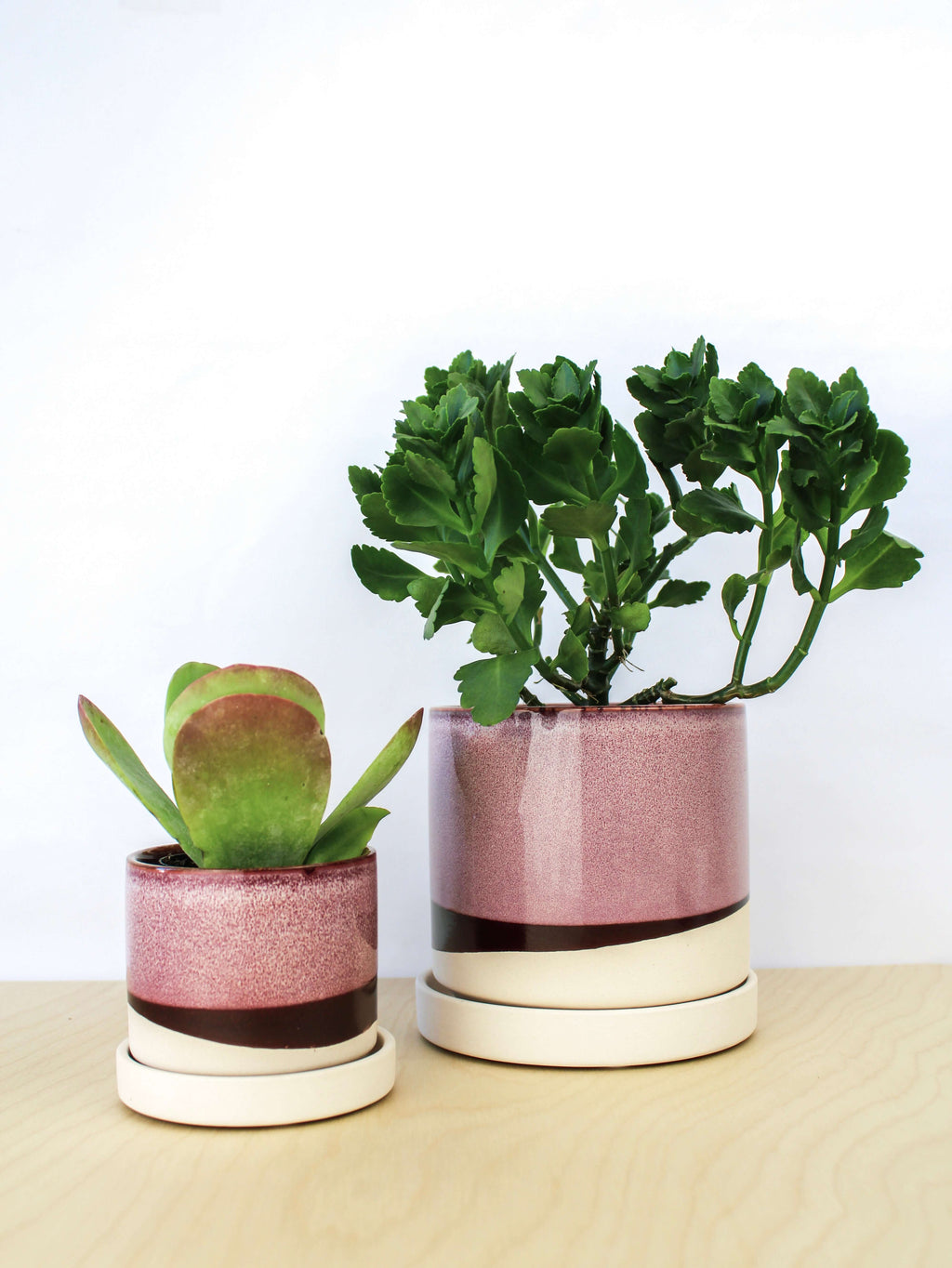Two handmade ceramic plant pots with matching saucers featuring pink and cream glazed finishes with dark accent bands, one containing a green succulent plant and the other holding a leafy green plant, displayed on a light wooden surface against a white background