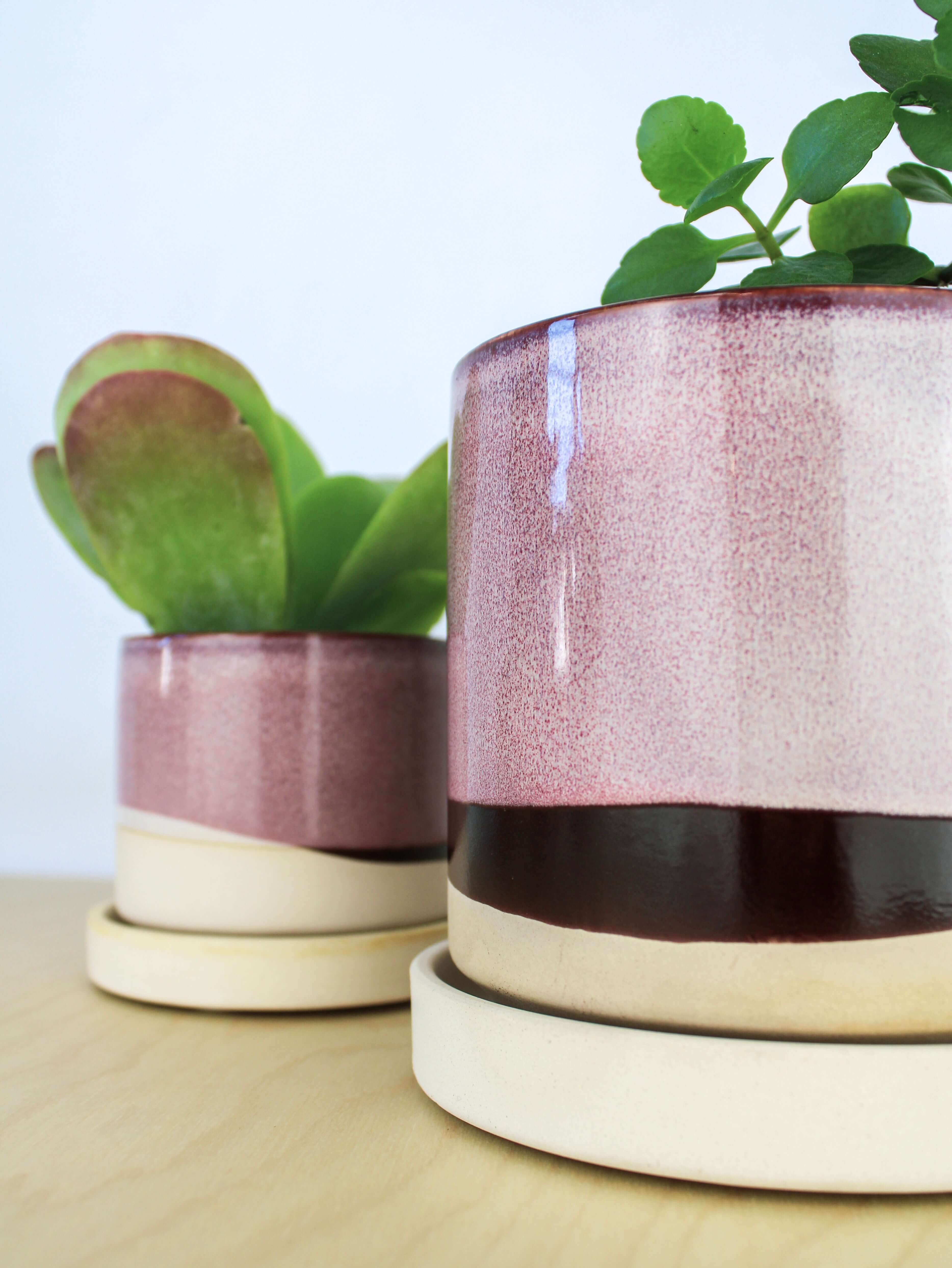Two handmade ceramic plant pots with matching saucers featuring pink and cream glazed finishes with dark accent bands, one containing a green succulent plant and the other holding a leafy green plant, displayed on a light wooden surface against a white background