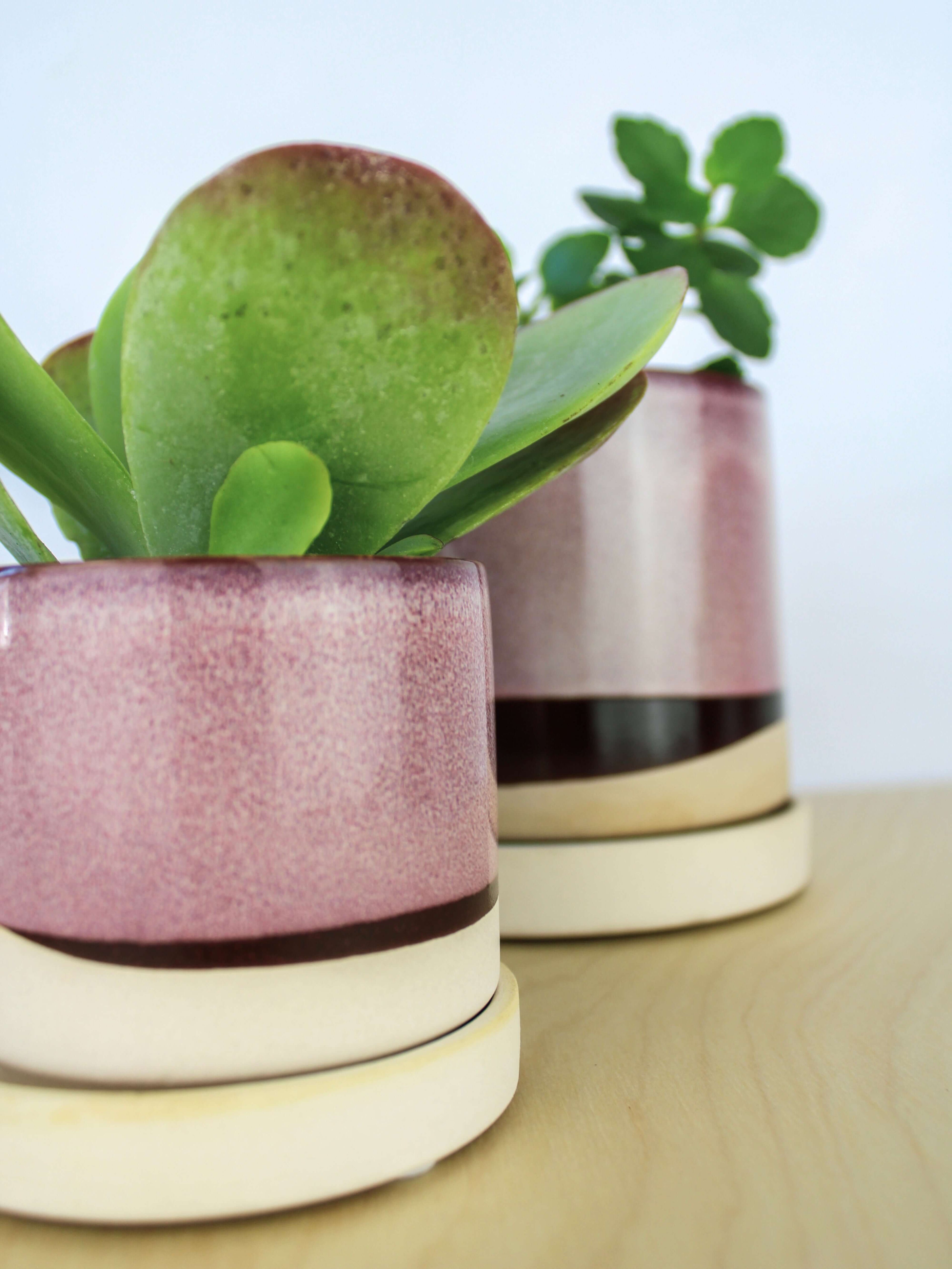 Two handmade ceramic plant pots with matching saucers featuring pink and cream glazed finishes with dark accent bands, one containing a green succulent plant and the other holding a leafy green plant, displayed on a light wooden surface against a white background