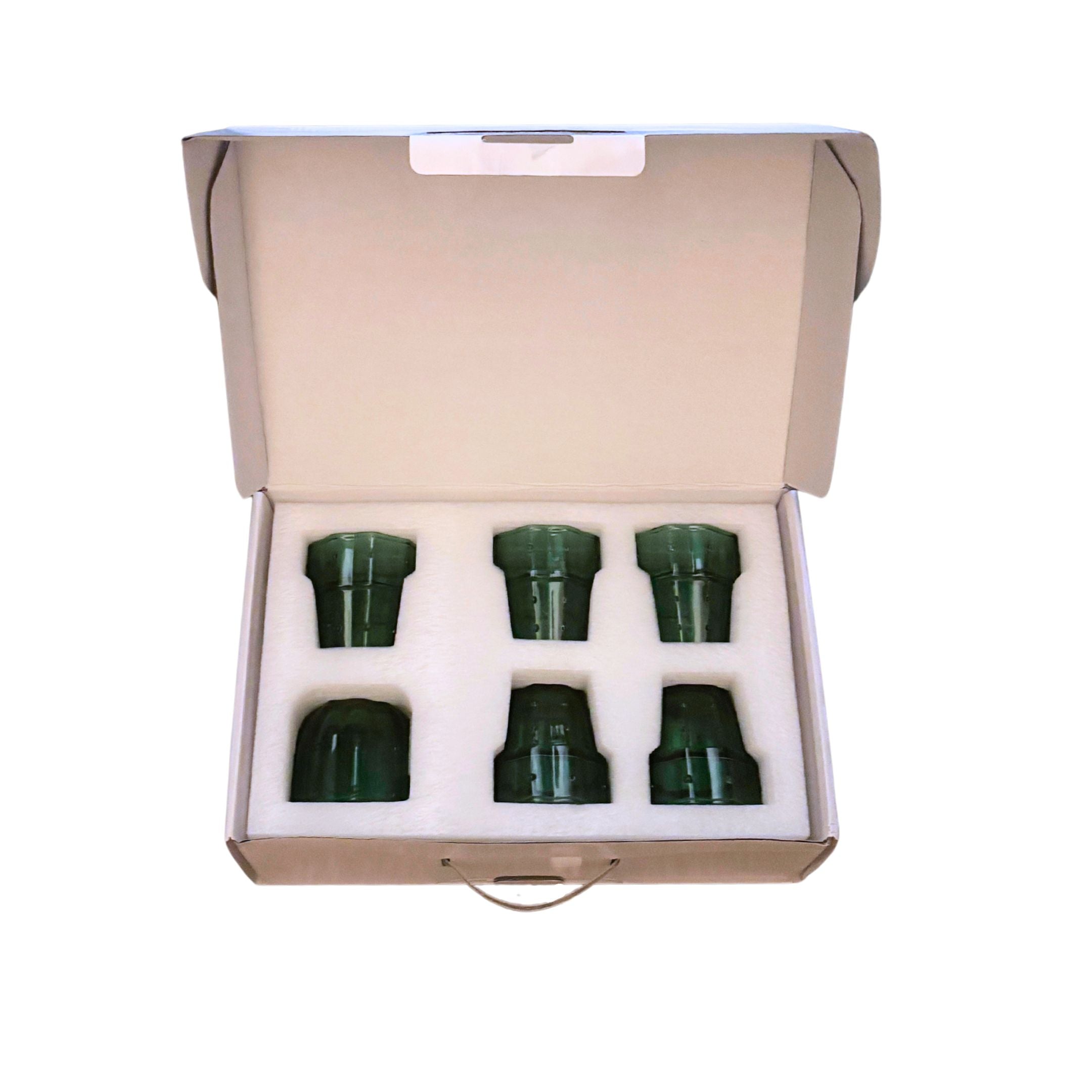 Cactus Glass Set of 6 | Stackable Cocktail Glass Giftable Drinkware Set