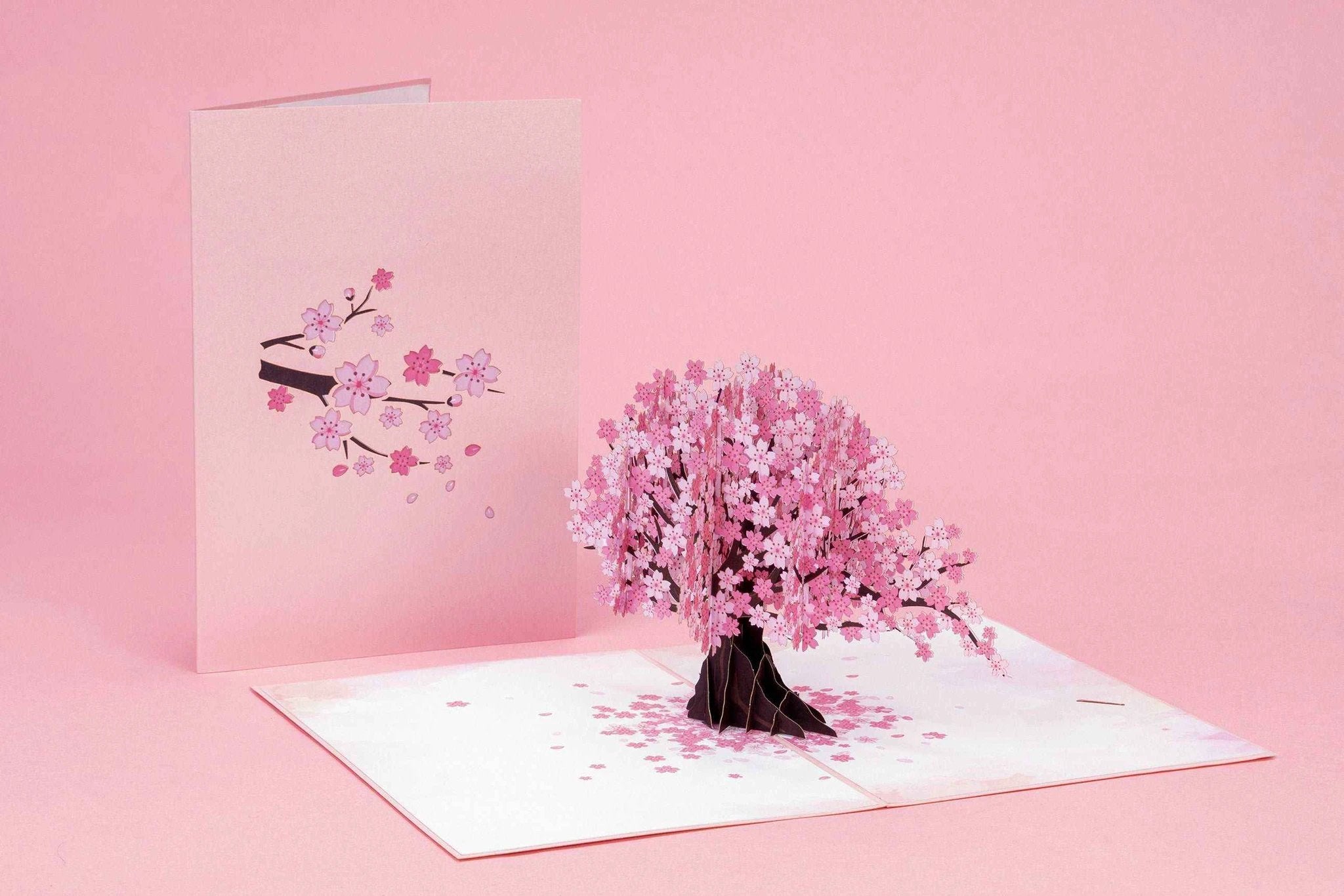 Cherry Blossom Pop Up Card by Paper Love