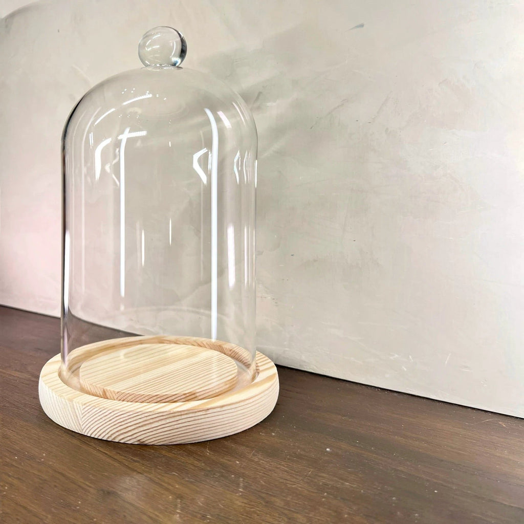 Cloche Glass Bell by Source by Studio Skara