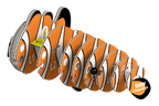 Clownfish 3D Puzzle for Kids | Ocean STEM Craft & Building Activity