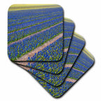 3dRose Danita Delimont - Agriculture - Netherlands, Southern Holland Province, Lisse, hyacinths Fields - Coasters