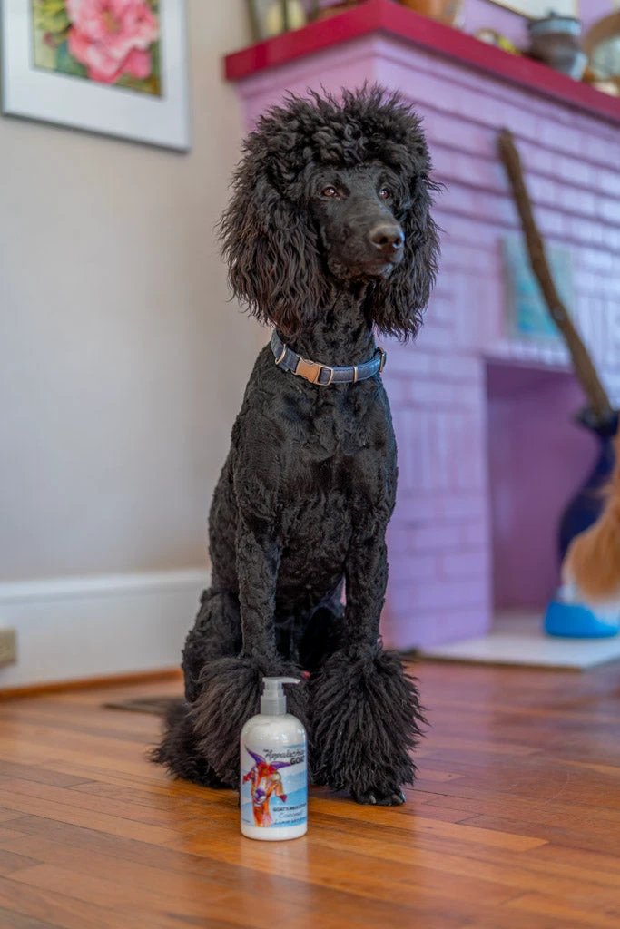 COCONUT LIME VERBENA GOATS MILK LOTION by Essential Journeys