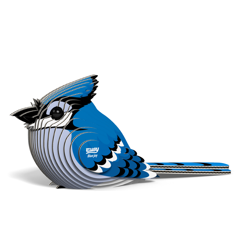 Blue Jay 3D Puzzle for Kids | STEM Craft & Building Activity