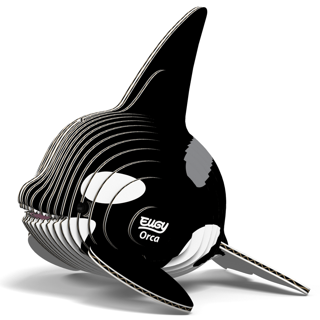 Orca 3D Puzzle for Kids | Killer Whale STEM Craft Activity