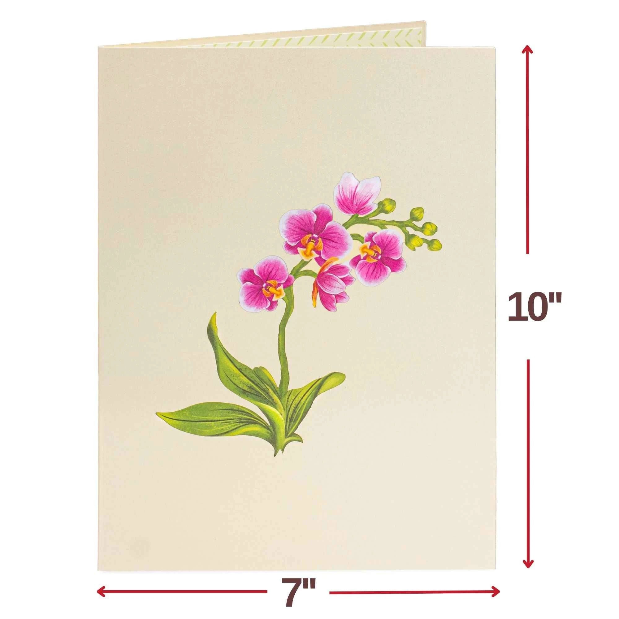 Orchid Flower Bouquet Pop-Up Card with Keepsake by Paper Love