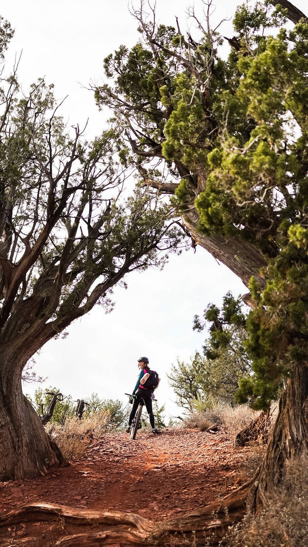 Rocket Sloth 157 Blend