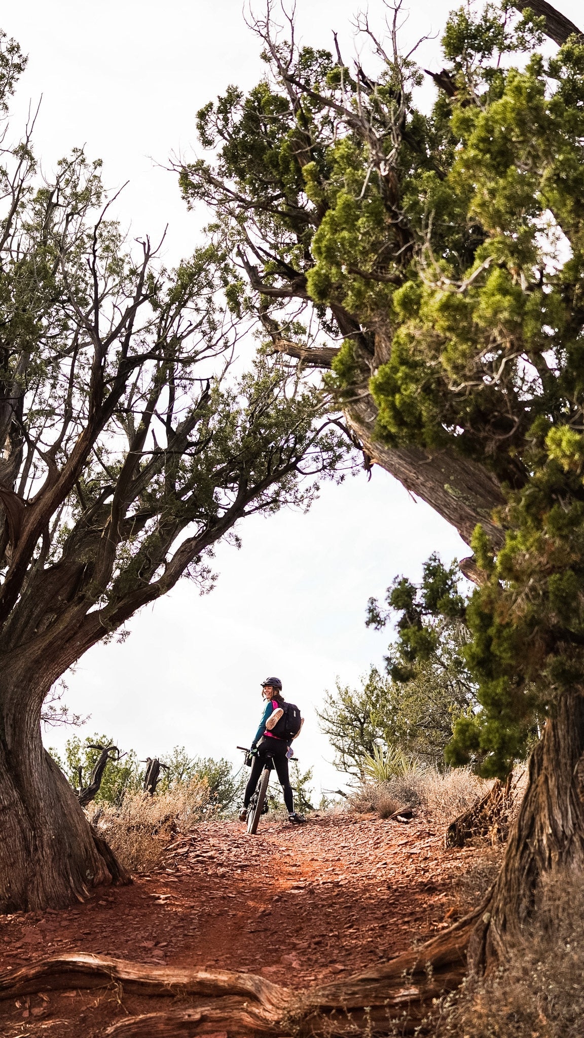 Rocket Sloth 157 Blend