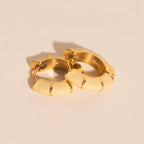 Color Block Chunky Rounded Huggie Hoop Earrings