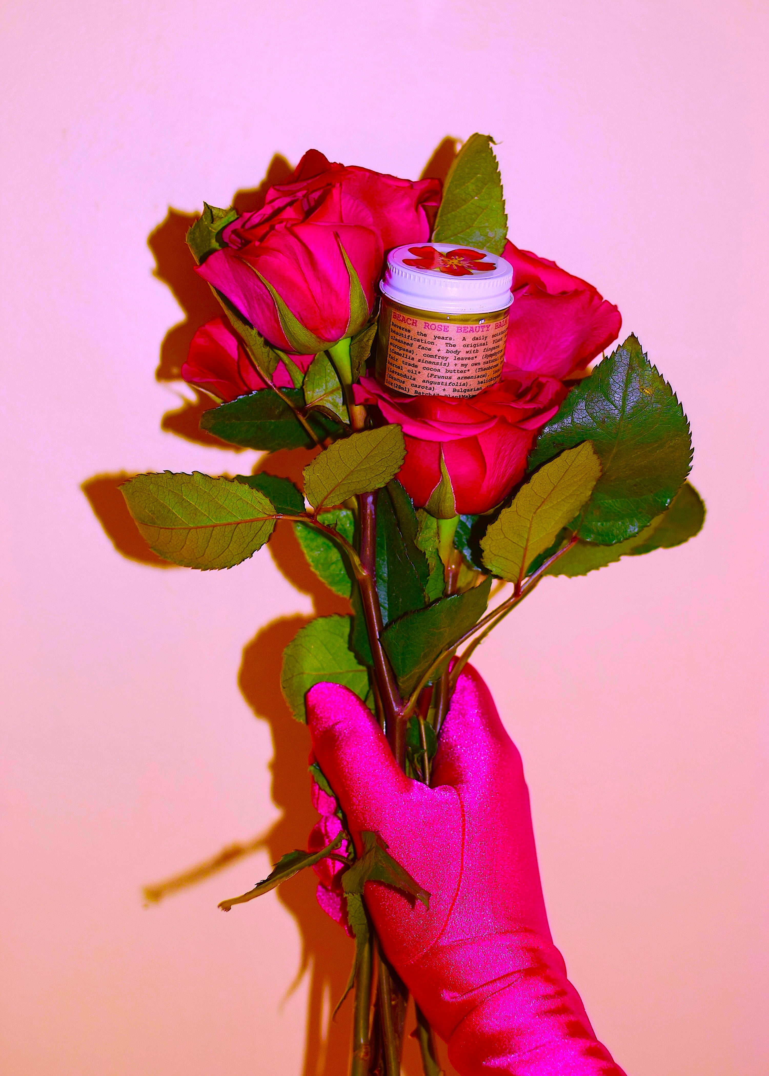 Beach Rose Beauty Balm