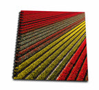 3dRose Aerial view of the tulip fields in North Holland, Netherlands - Drawing Books (db_330384)