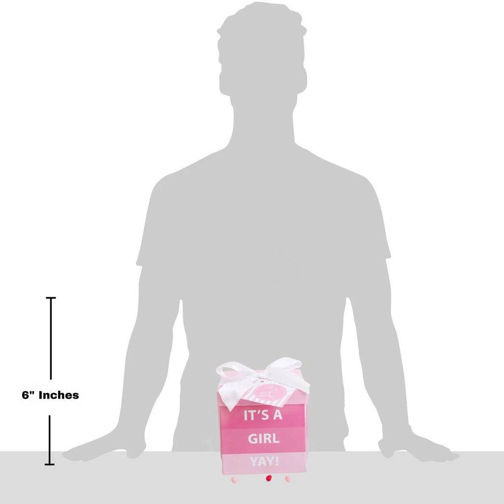 It's A Girl Gift Box by Alder Creek Gift Baskets