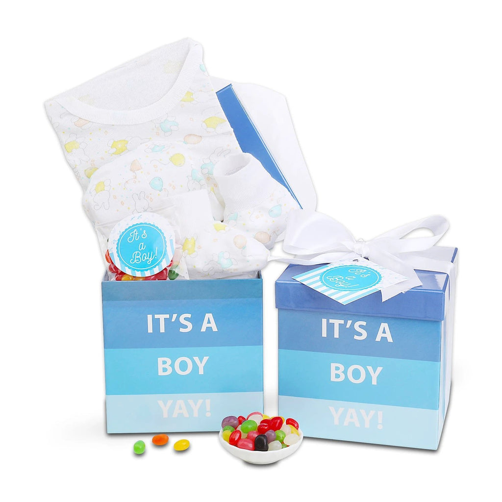 It's A Boy Gift Box by Alder Creek Gift Baskets