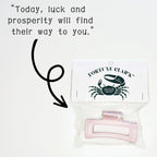 Fortune Claws™ Hair Claws | Unique Fortune Inside | Single or Gift Pack by The Bullish Store
