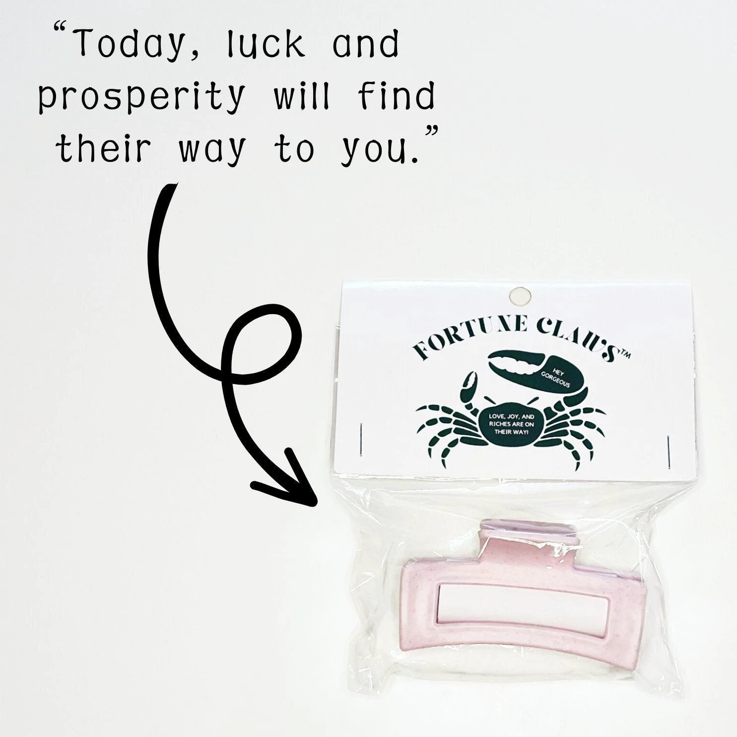 Fortune Claws™ Hair Claws | Unique Fortune Inside | Single or Gift Pack by The Bullish Store