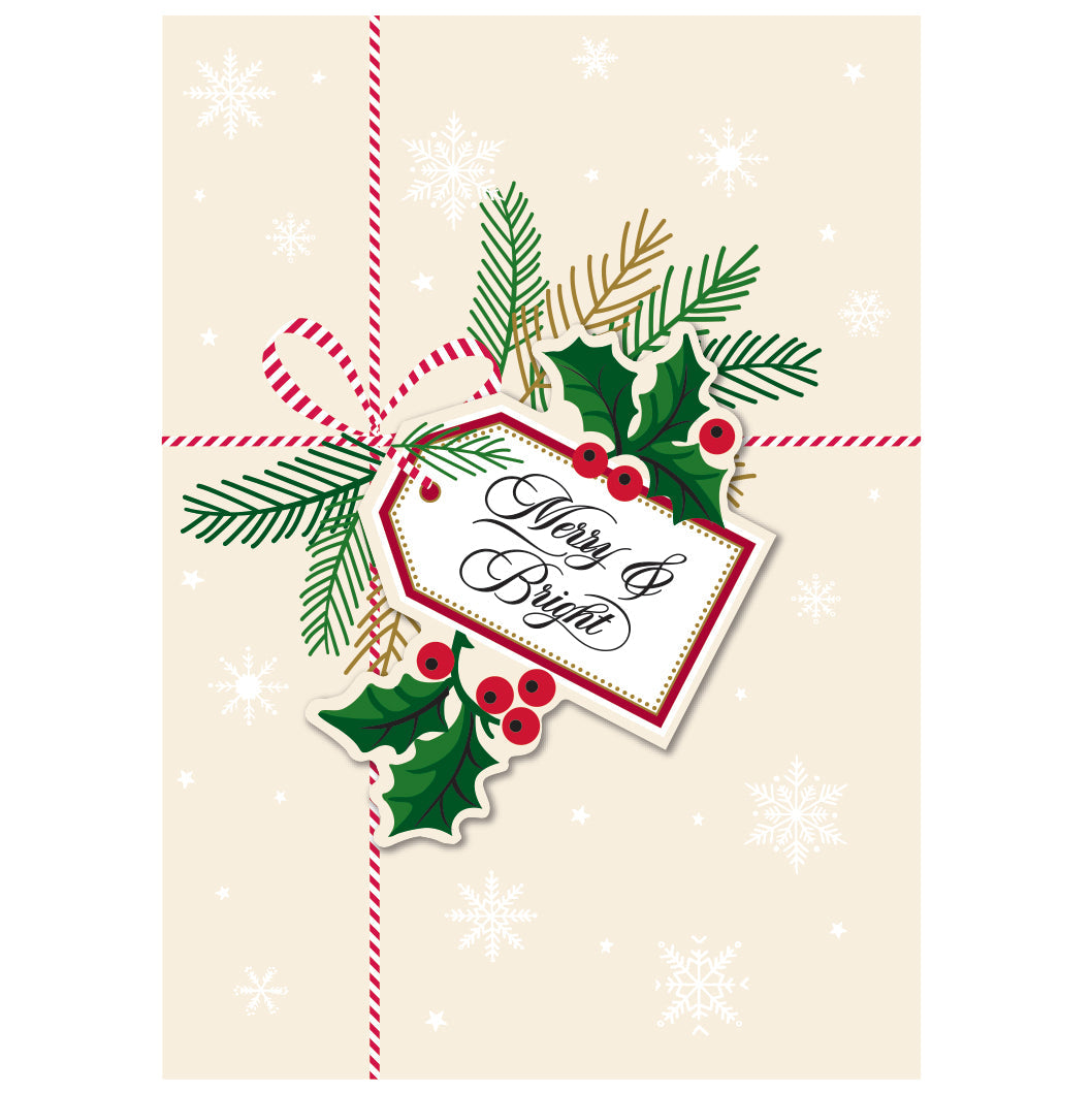 Snowflake Present Boxed Card 10 ct