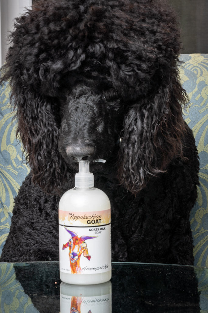 LIQUID SOAP - HONEYSUCKLE GOATS MILK 16 oz.