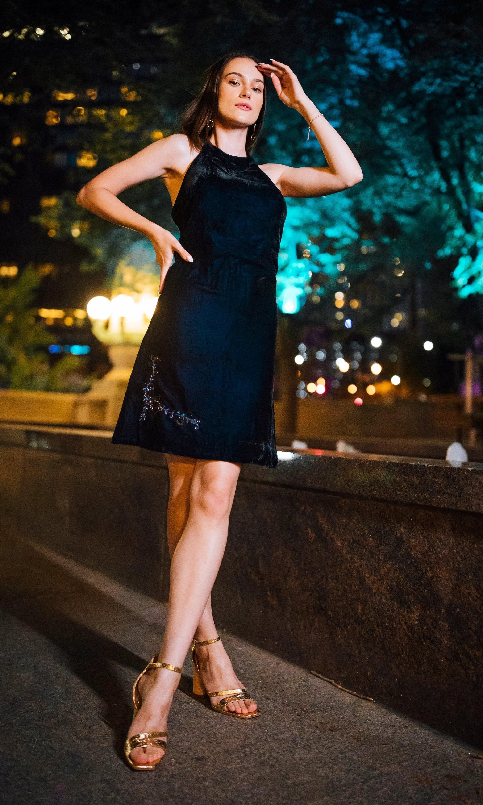 Binni Velvet Mini Dress by Raas