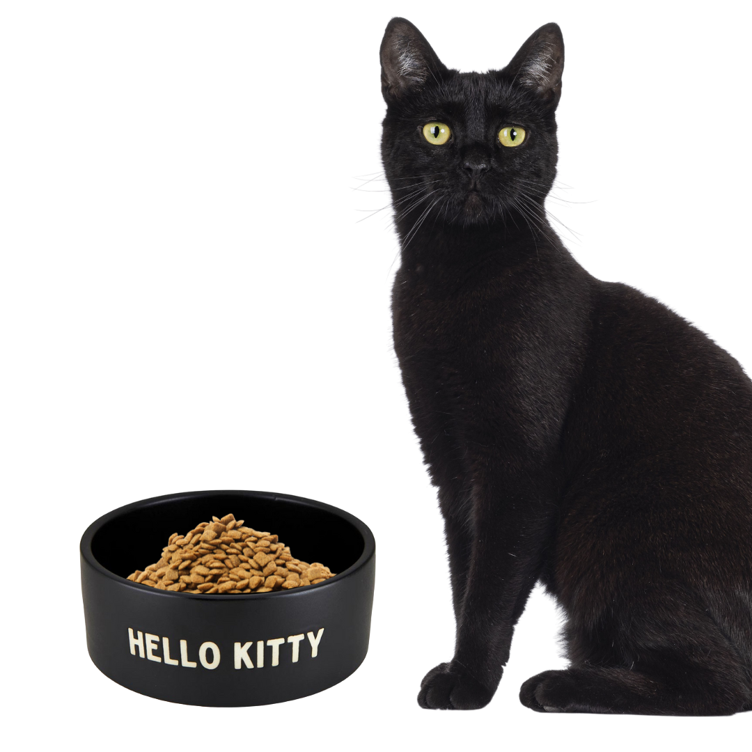 Hello Kitty Ceramic Pet Bowl in Black | Circular Pet Water Food Dish Feeder |  6"