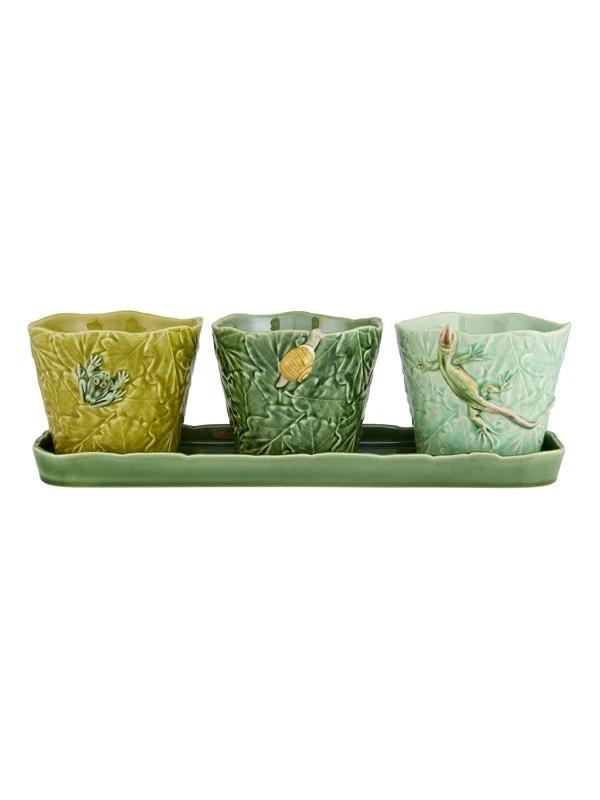 SET OF 3 TERRESTRIAL INSECT Flower/Herb Pots by Fragola