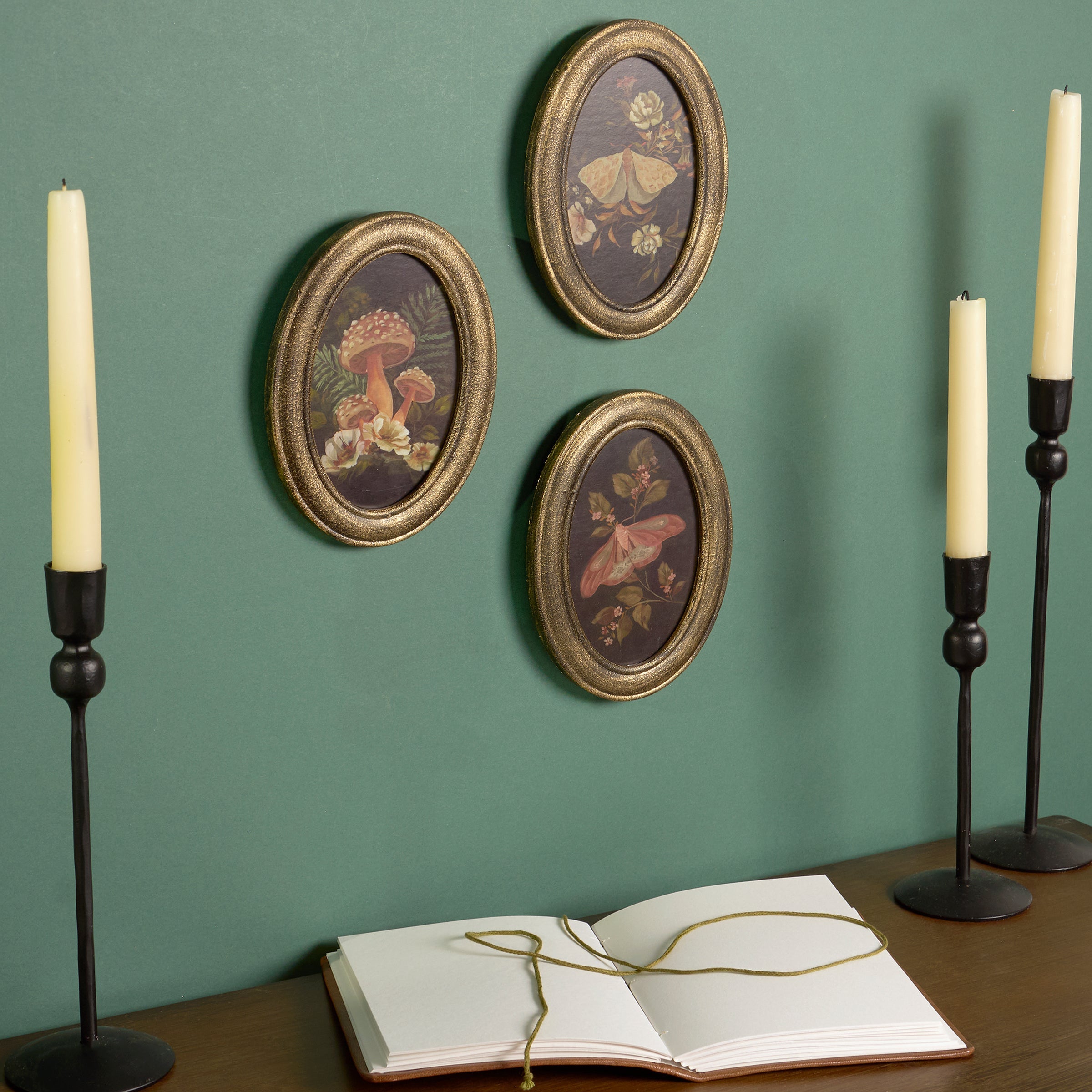 Hidden Garden Hanging Decor Set | Natural Wood Frame Wall Display