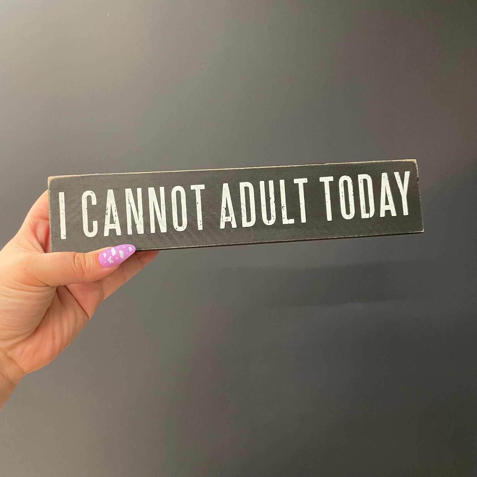 Hold On Overthinking It / I Cannot Adult Today Reversible Wooden Desk Plate