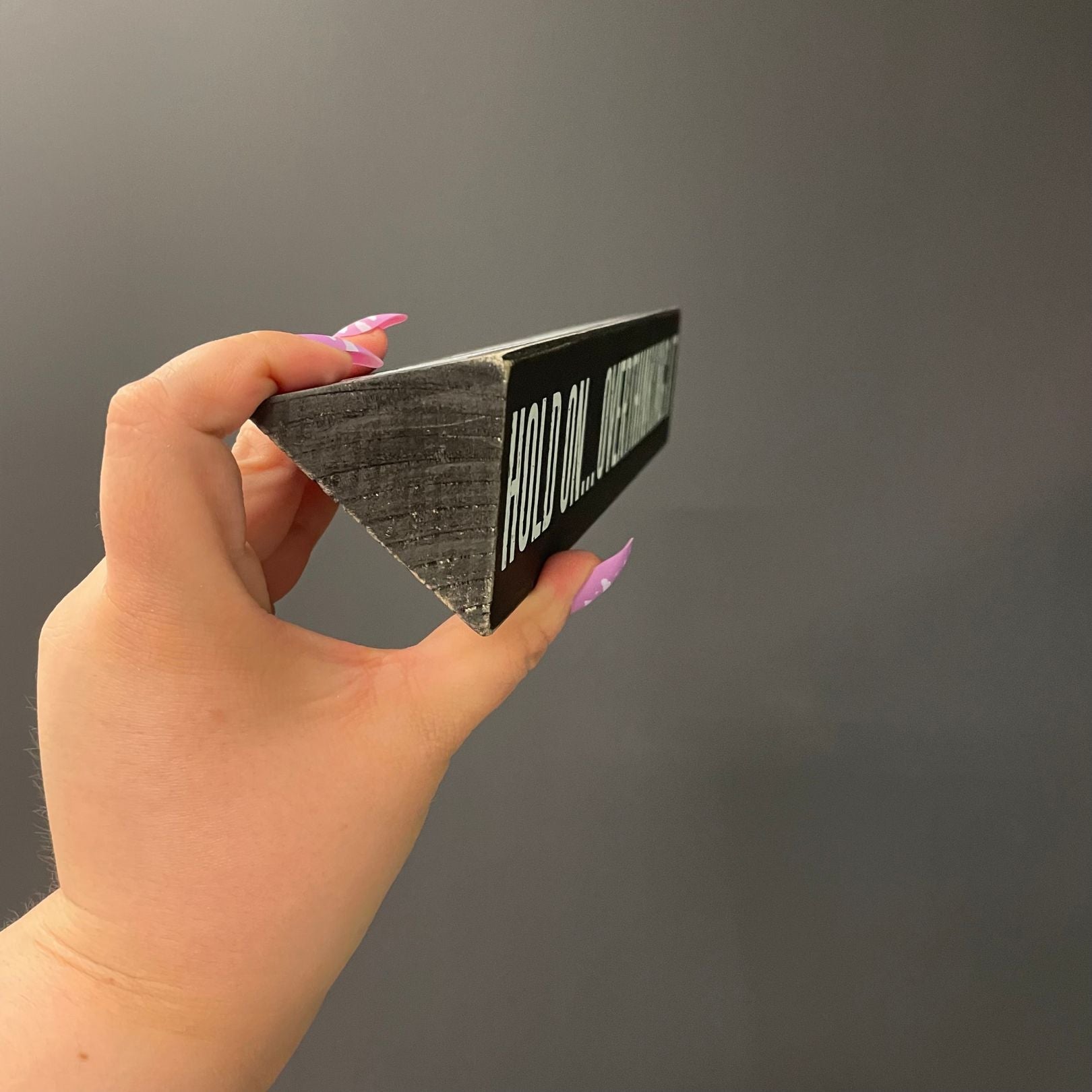 Hold On Overthinking It / I Cannot Adult Today Reversible Wooden Desk Plate