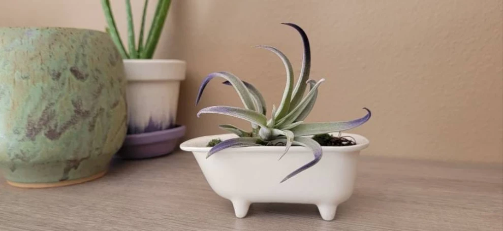 Small Bathtub Planter by Mountain Mudworks