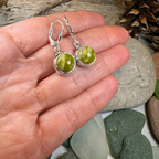 Connemara Marble Irish Anamchara Earrings in Sterling Silver